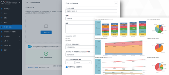 SFDC backup screenshot