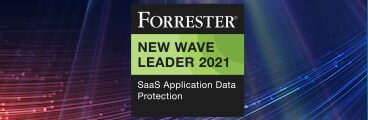 Forrester Wave Homepage Slider v1