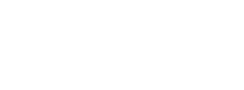 Logo nec