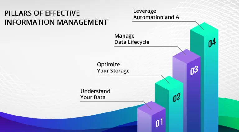 Pillars of Effective Information Management