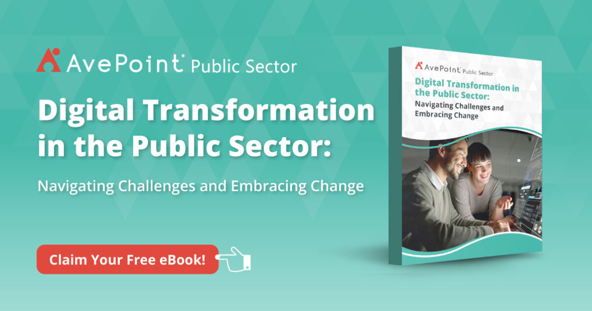 Digital Transformation in the Public Sector: Navigating Challenges and ...
