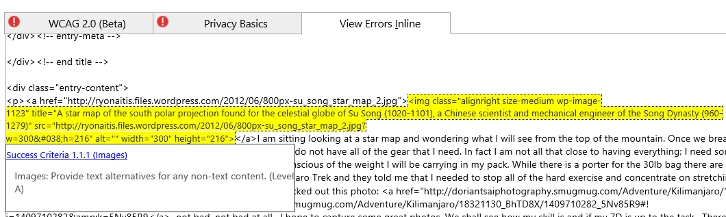 Inline Error for WCAG Violation