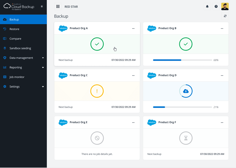 screenshot of cloud backup for salesforce