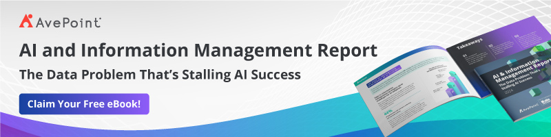AI and Information Management Report