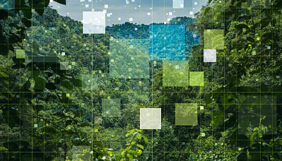 Shifthappens Digital Darwinism 5 Featured Image 690x387