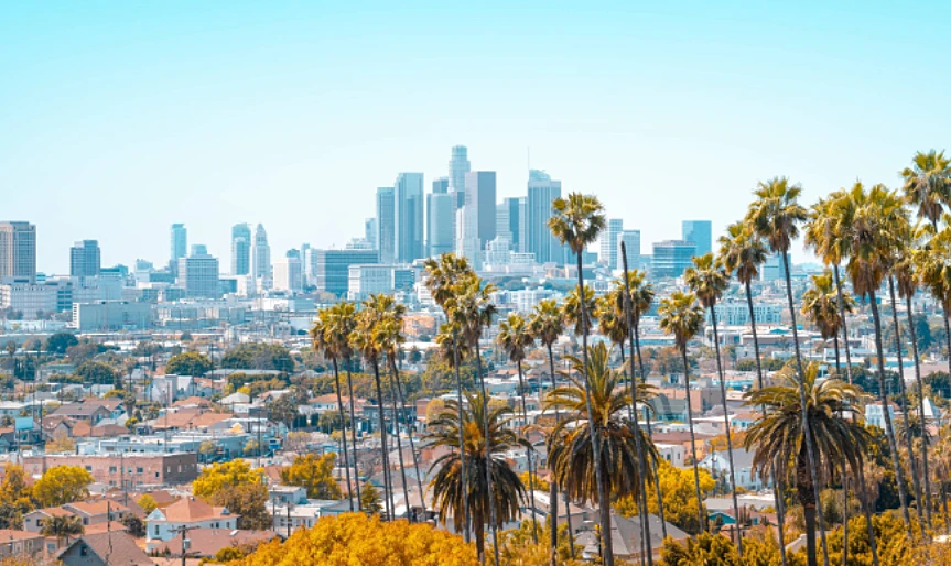 Expanding AvePoint’s Presence: Supporting Customers and Talent Across the Americas