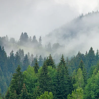 Oregon department of environmental quality 372x372