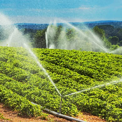 Tas Irrigation hero