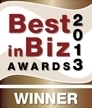 Bestin Biz Awards 2013 bronze