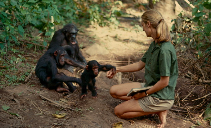 The jane goodall institutes 680x412 01