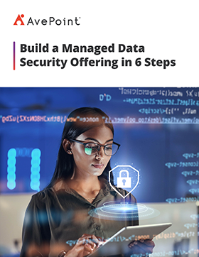 Ebook cover Effective Data Security Measures MS Ps