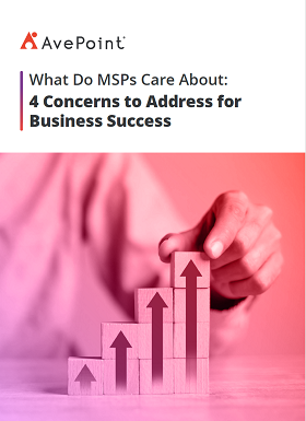 What Do MSPs Care About: 4 Concerns to Address for Business Success