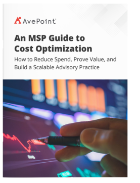 An MSP Guide to Cost Optimization