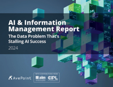 AI and Information Management Report 2024