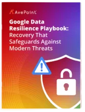 Google Data Resilience Playbook
