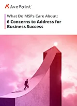 What Do MSPs Care About: 6 Concerns to Address for Business Success