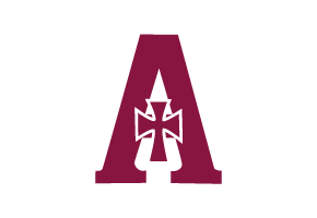 Logo assumption HS 2024 02 12 082927 yrfi