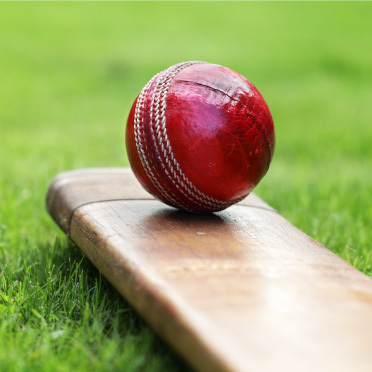 Cricket tasmania 372x372